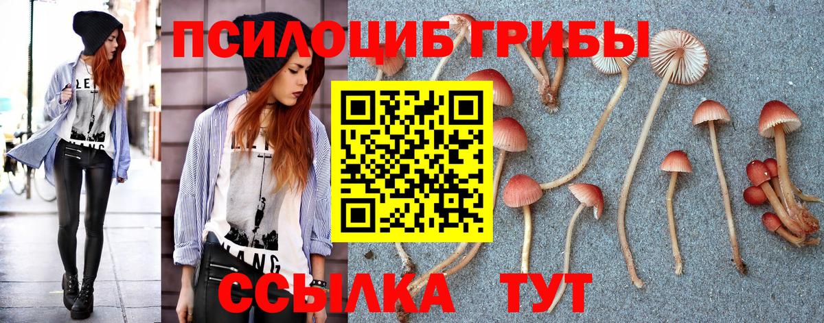 Галлюциногенные грибы Cubensis Можга